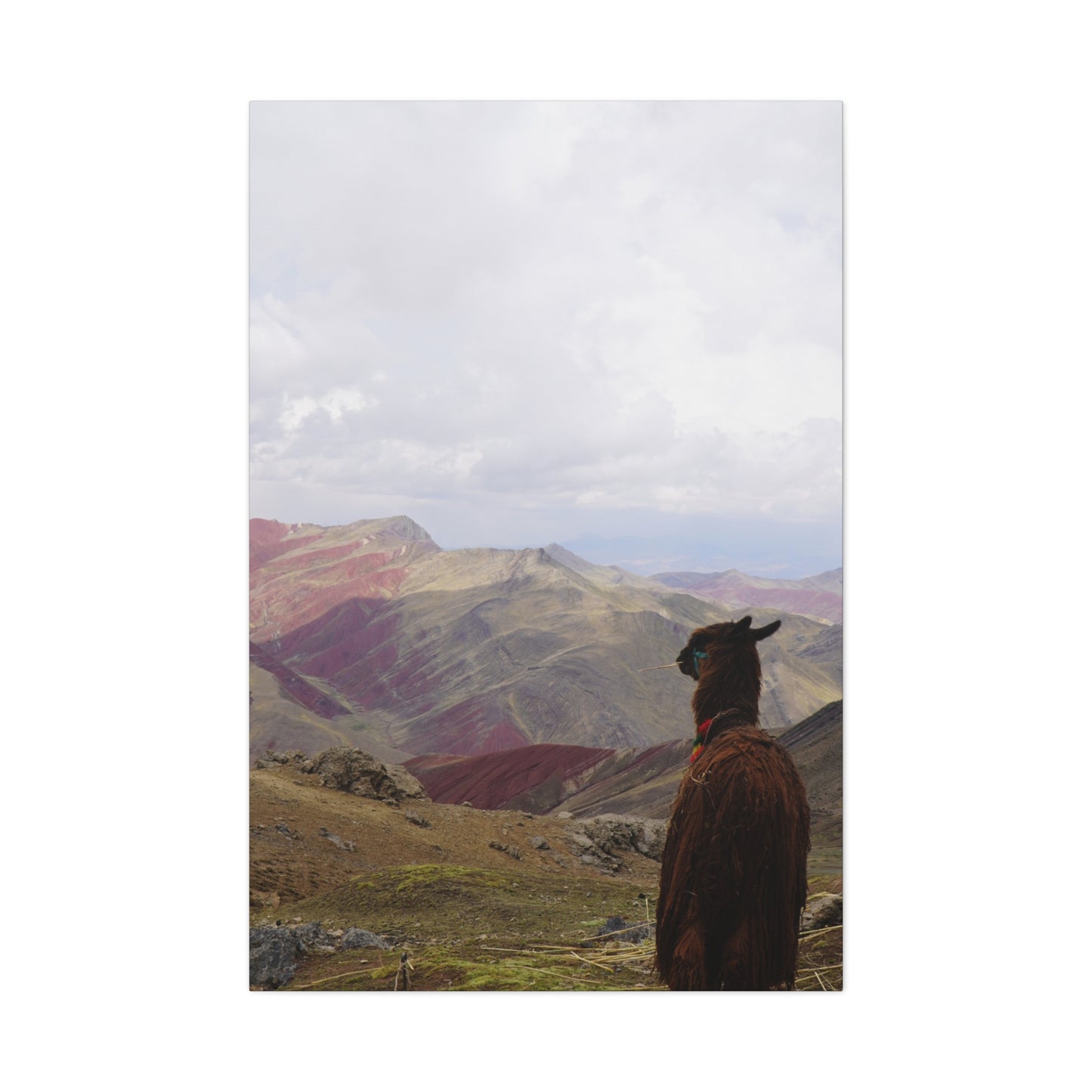 Canvas Print - Rainbow Mountain Landscape