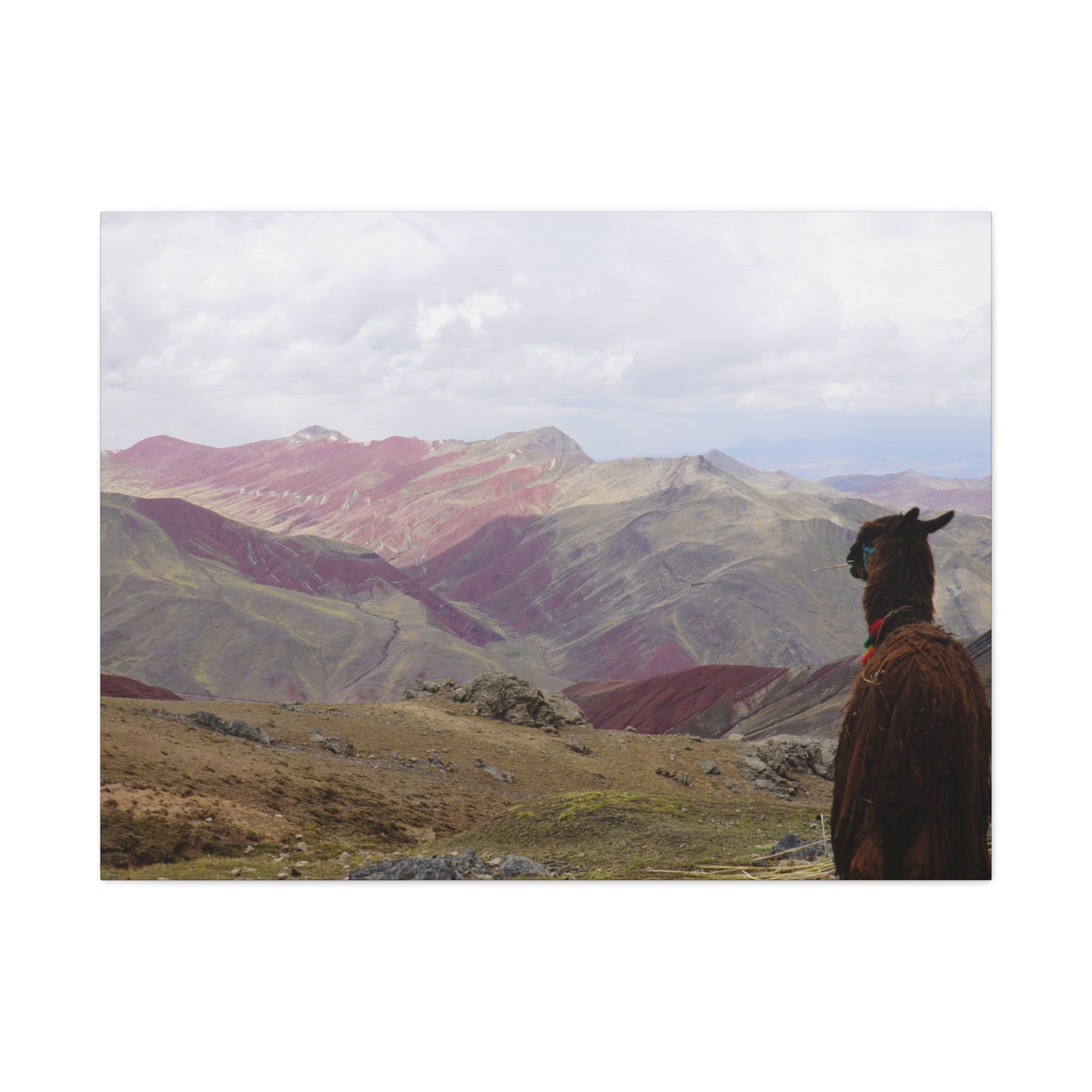Canvas Print - Rainbow Mountain Landscape