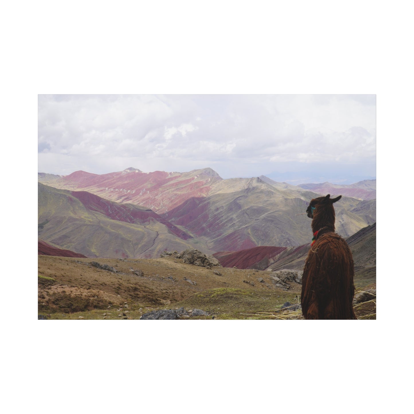 Canvas Print - Rainbow Mountain Landscape