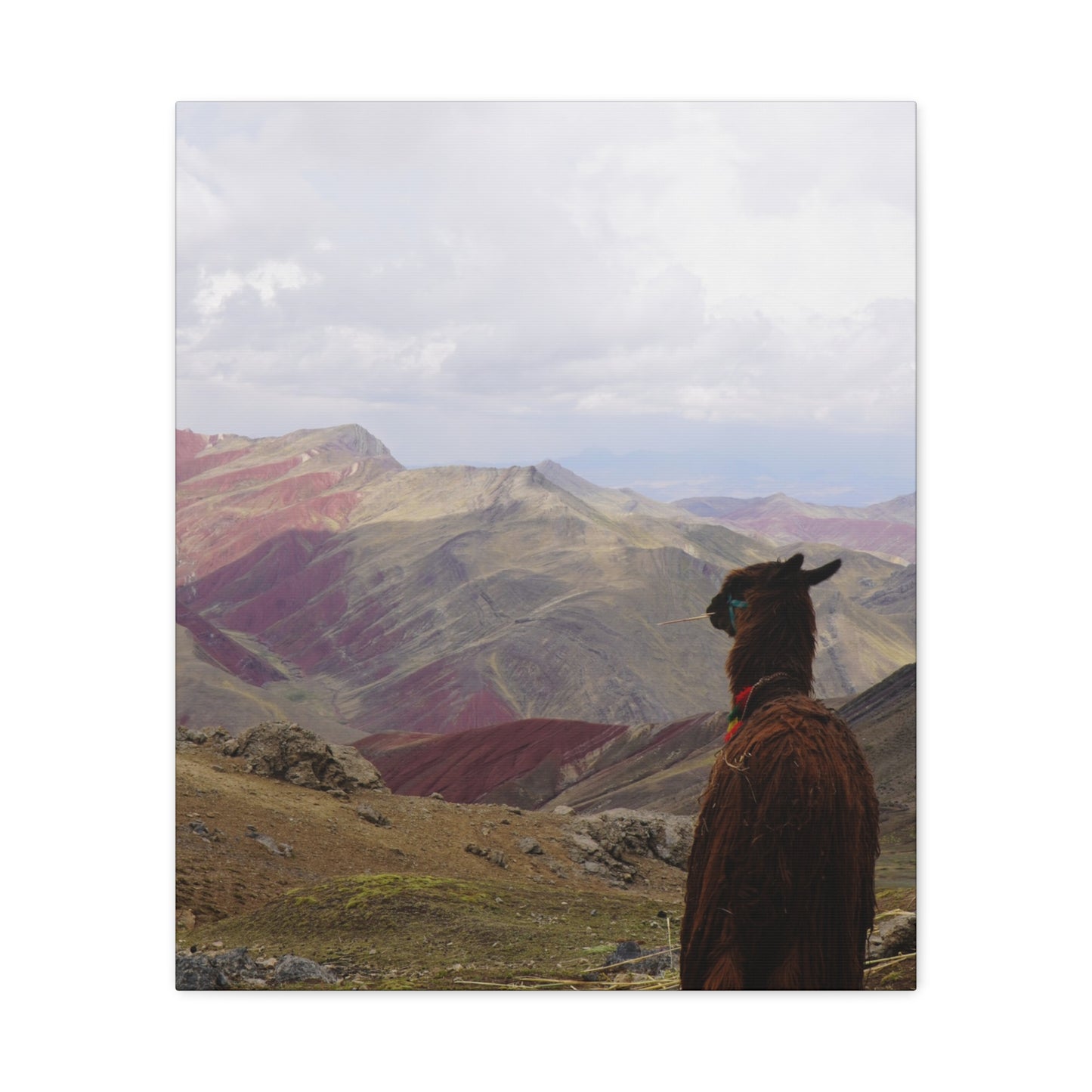 Canvas Print - Rainbow Mountain Landscape
