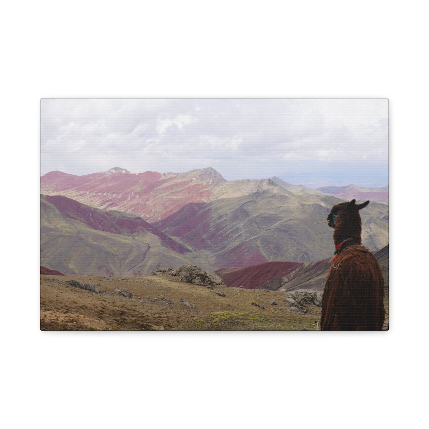 Canvas Print - Rainbow Mountain Landscape