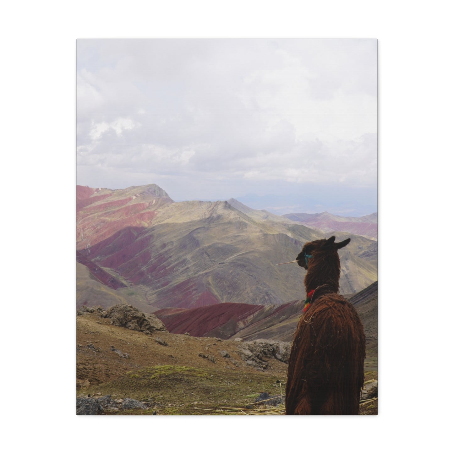 Canvas Print - Rainbow Mountain Landscape