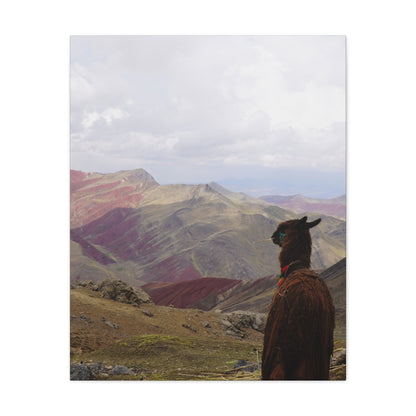 Canvas Print - Rainbow Mountain Landscape