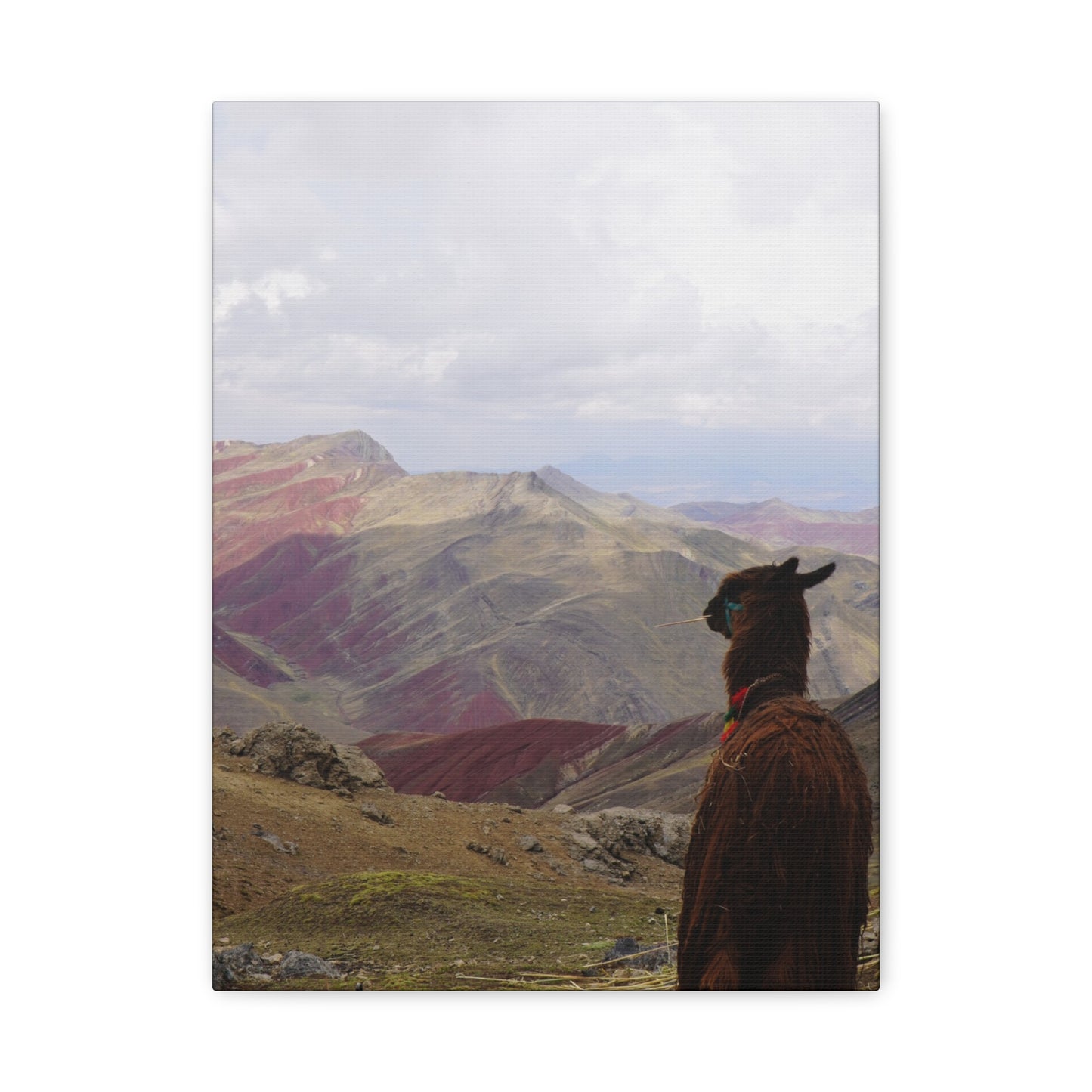 Canvas Print - Rainbow Mountain Landscape