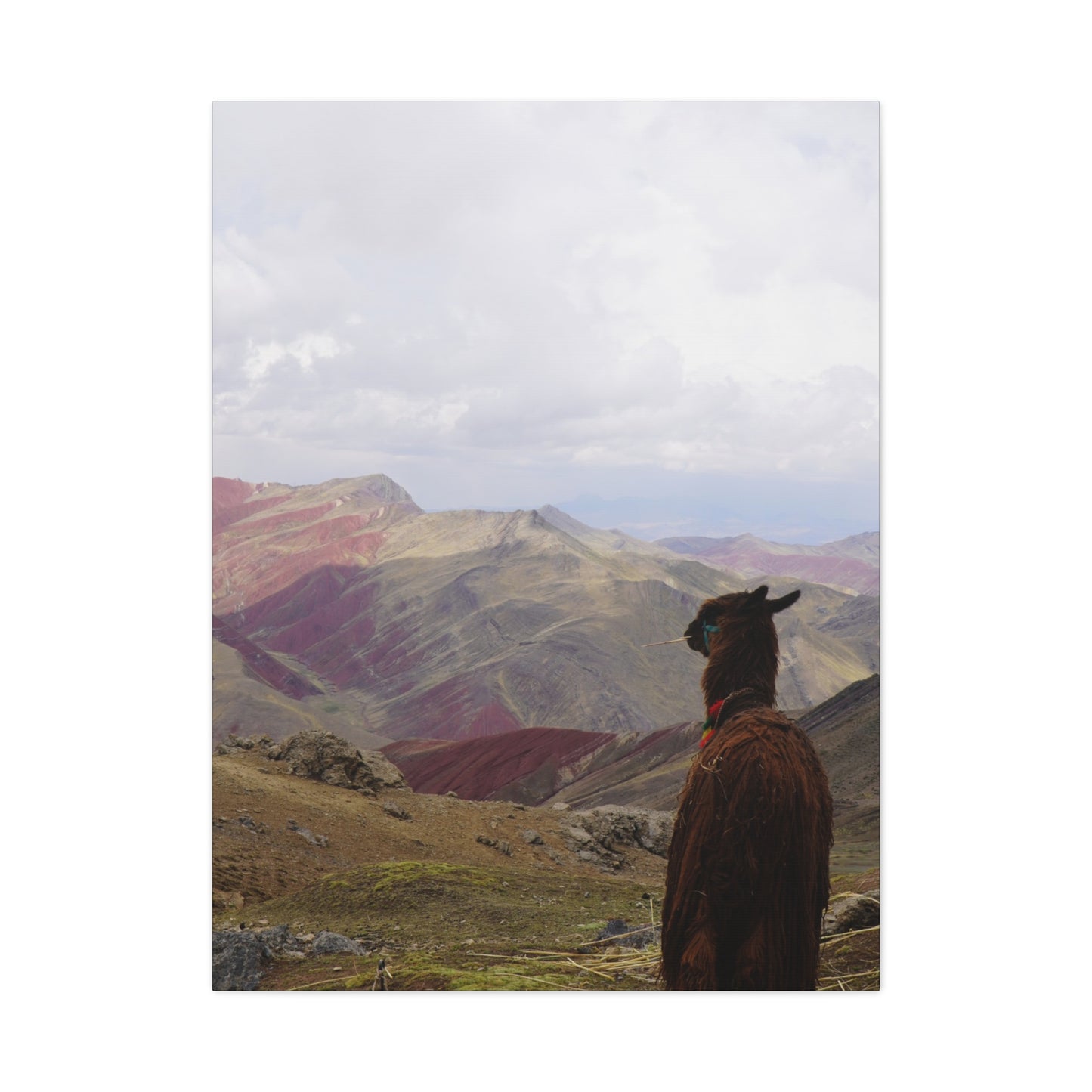 Canvas Print - Rainbow Mountain Landscape