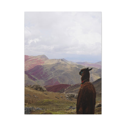 Canvas Print - Rainbow Mountain Landscape