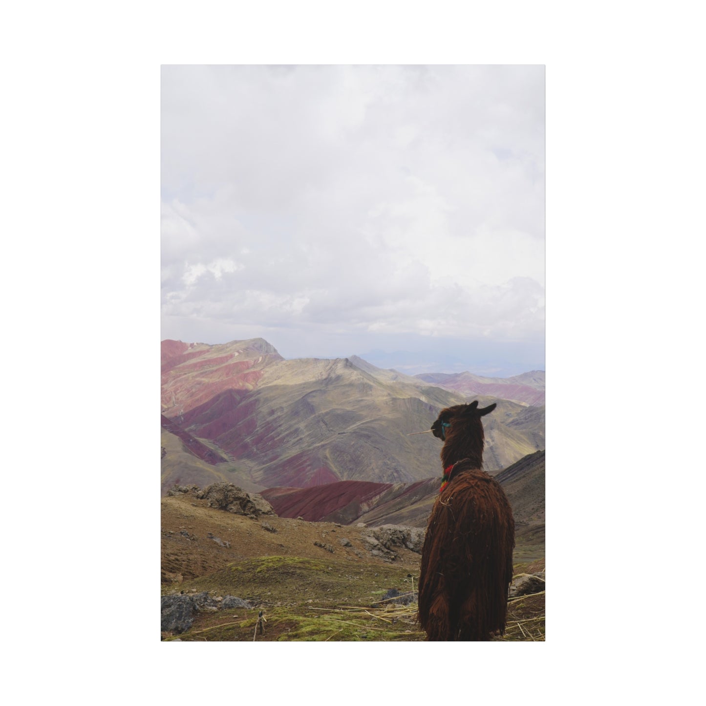 Canvas Print - Rainbow Mountain Landscape