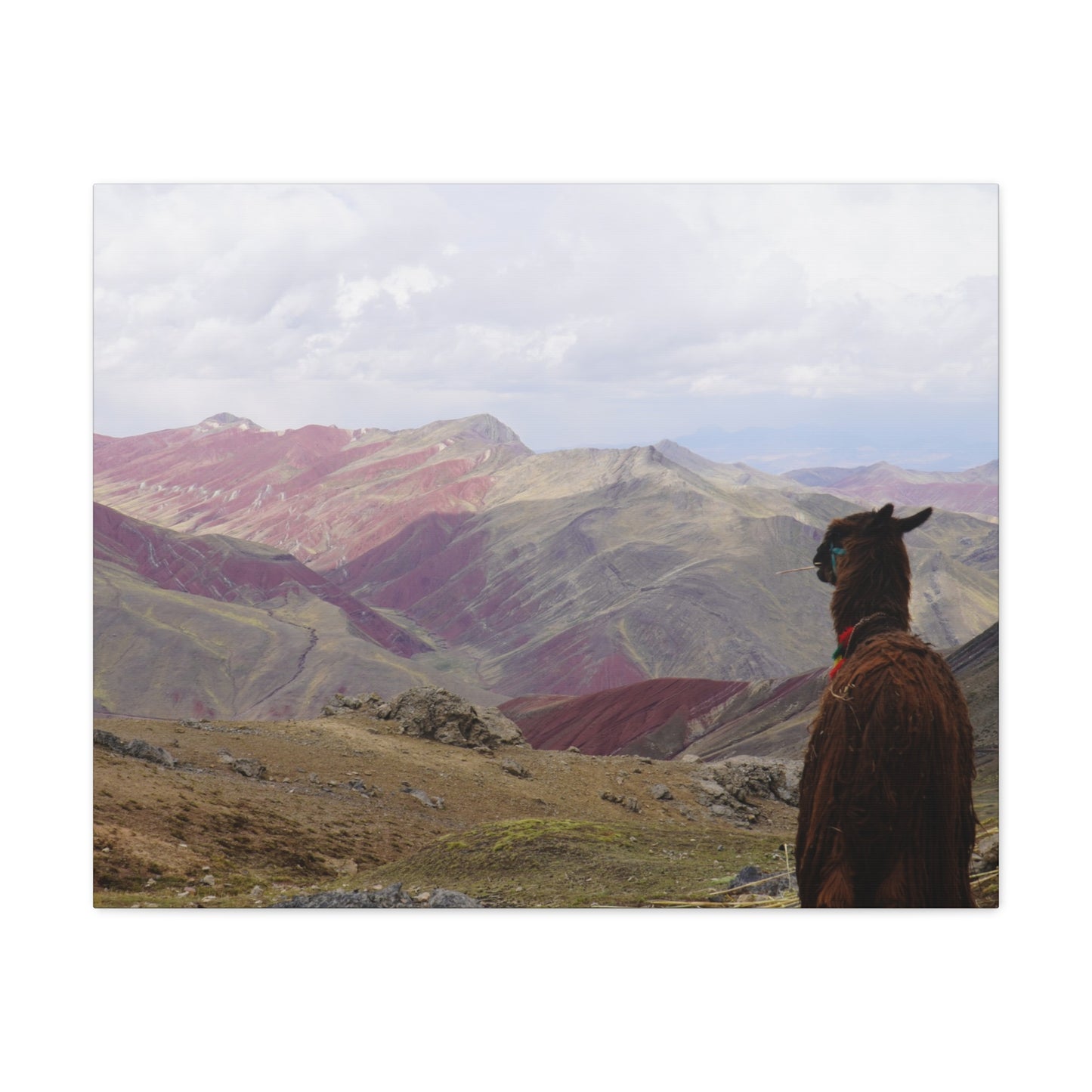 Canvas Print - Rainbow Mountain Landscape