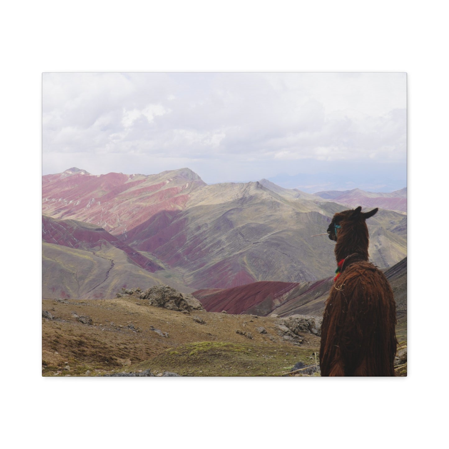Canvas Print - Rainbow Mountain Landscape