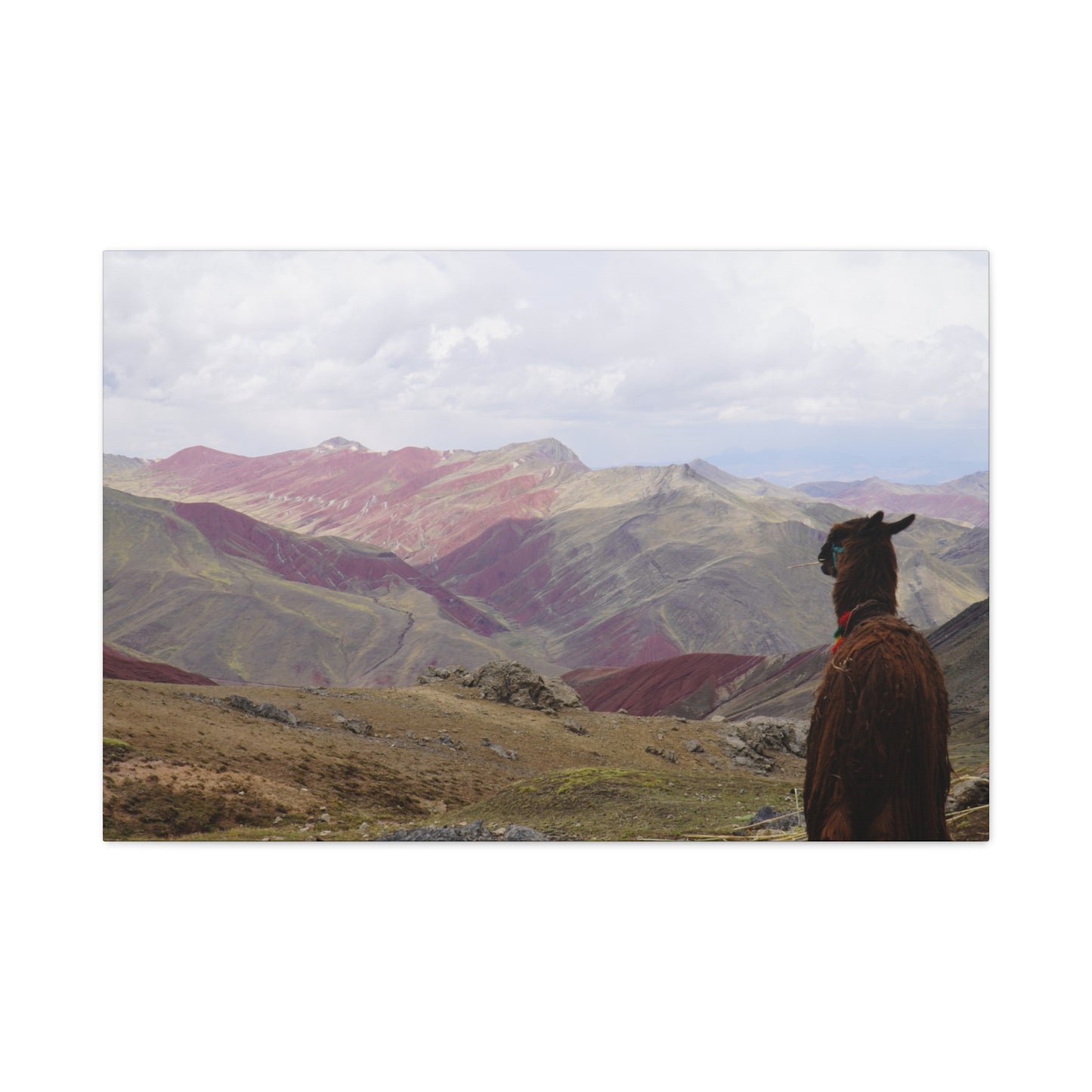 Canvas Print - Rainbow Mountain Landscape