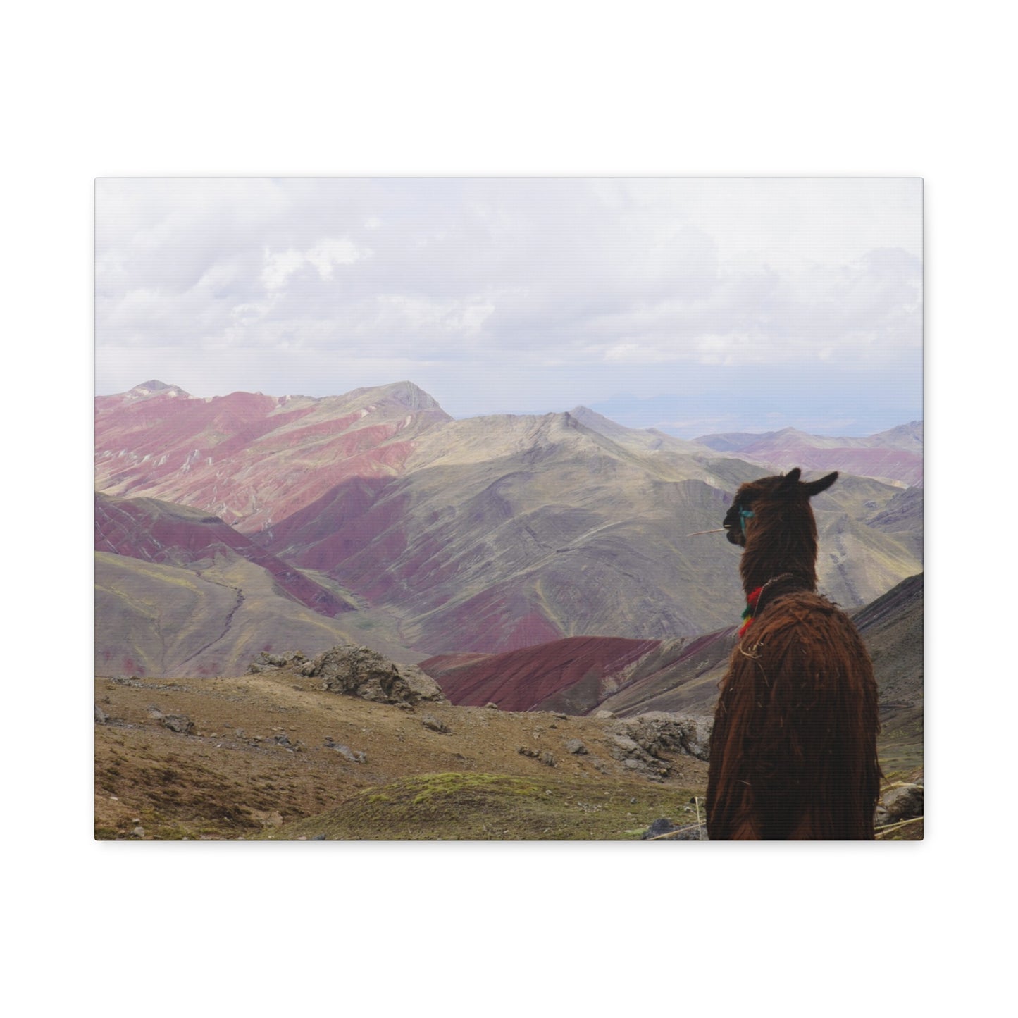 Canvas Print - Rainbow Mountain Landscape