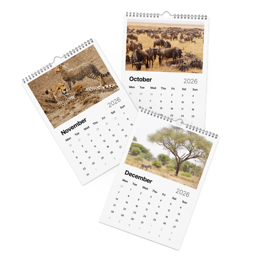 Africa – Wild Beauty 2026